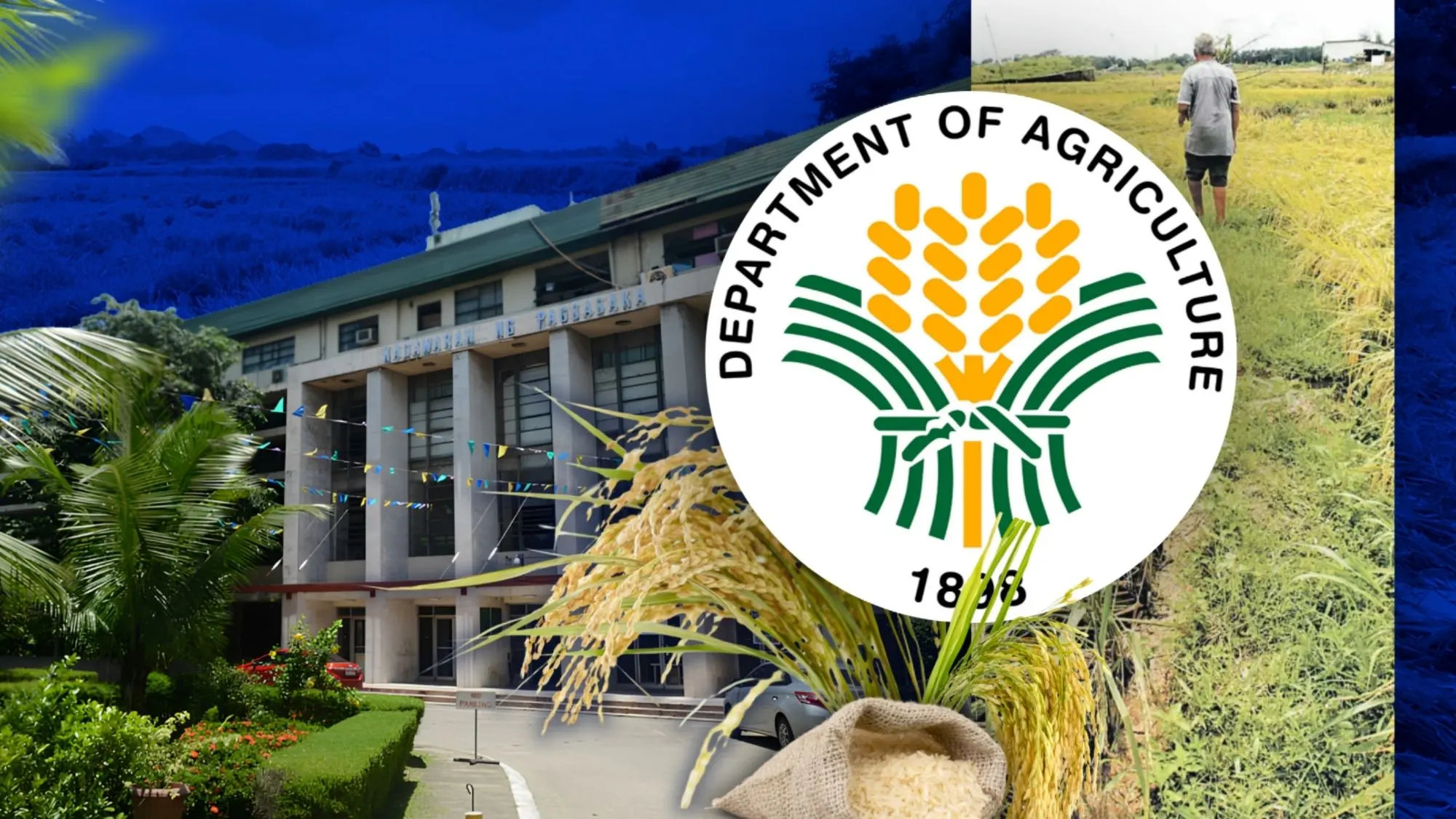 Pinsala sa agrikultura dahil sa Habagat umabot sa ₱4.38B